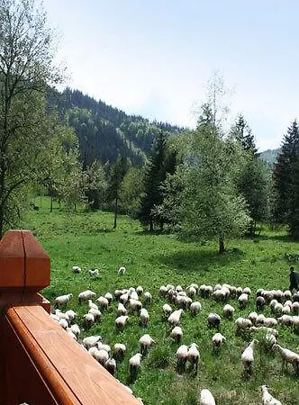 Tatrzanskie Turnie Apartment Zakopane